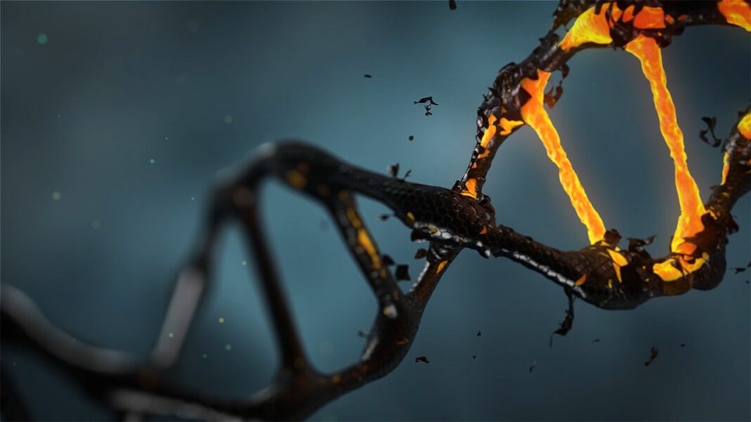 Recombination of DNA A drift of transformation in medical sector